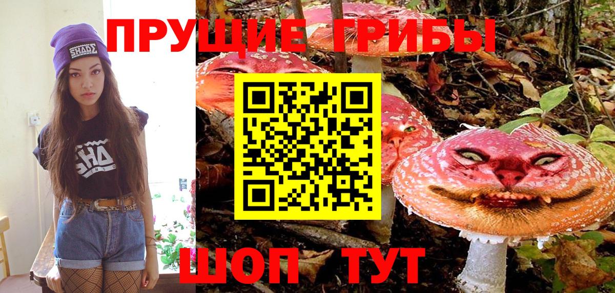 Псилоцибиновые грибы мицелий Кисловодск