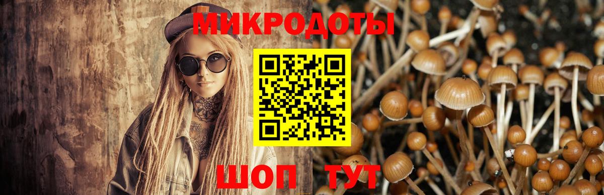 Галлюциногенные грибы MAGIC MUSHROOMS  Псилоцибиновые грибы MAGIC MUSHROOMS  Вход с VPN  Кисловодск 